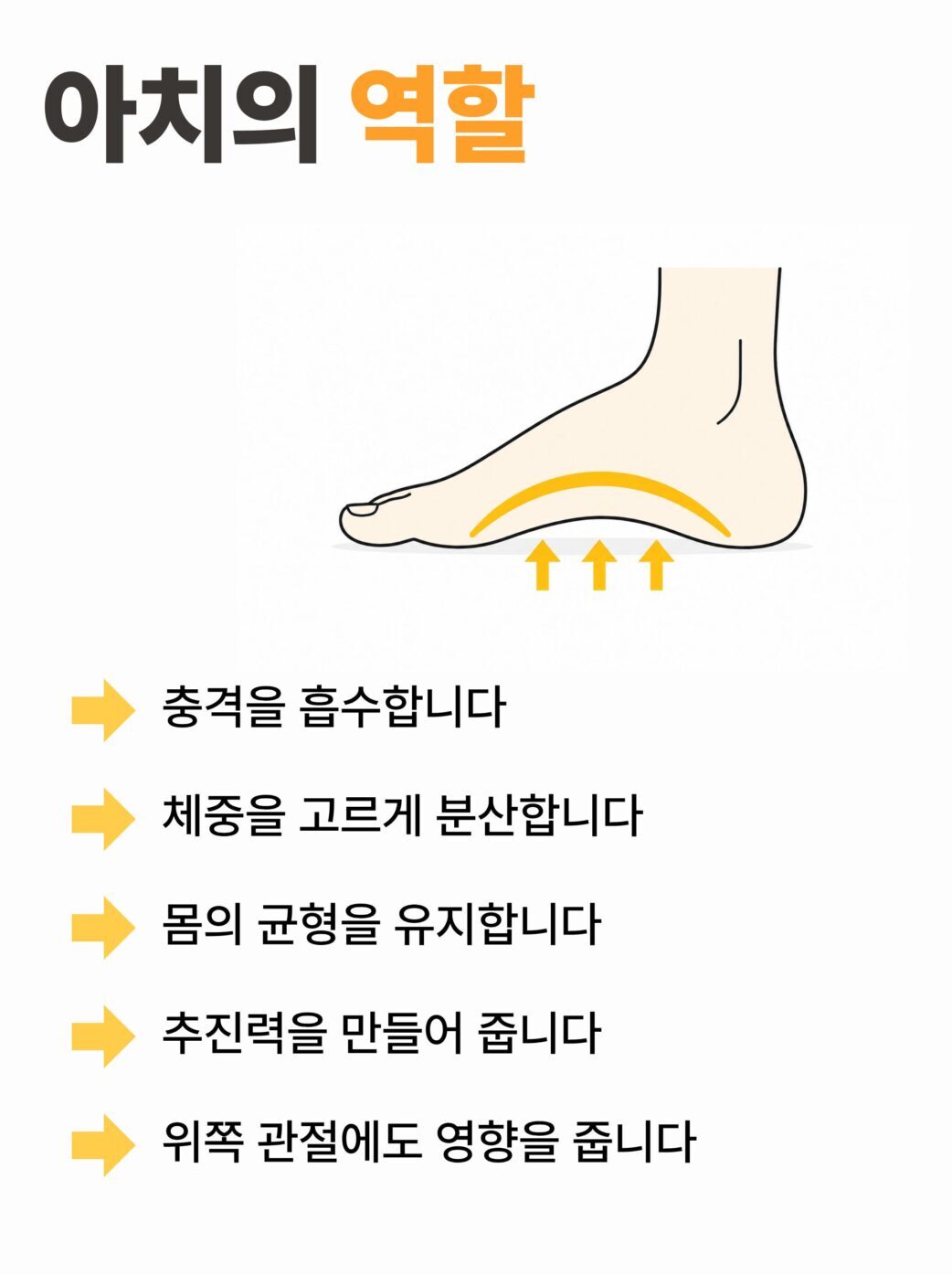 발 아치의 충격 흡수와 체중 분산 역할 안내